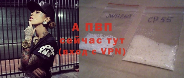 стафф Бронницы