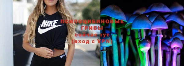 стафф Бронницы