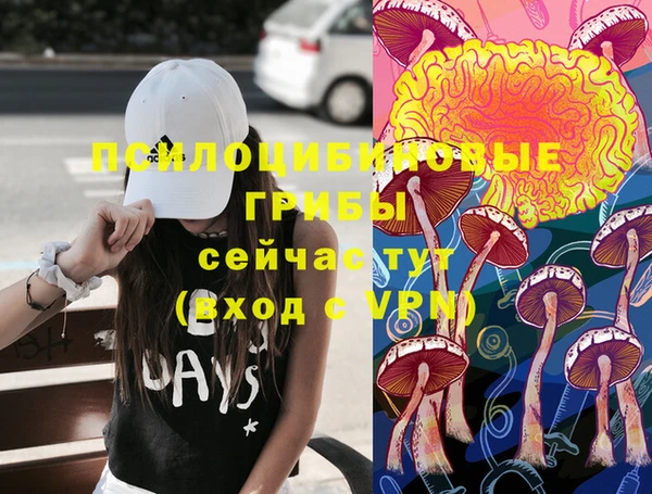 стафф Бронницы