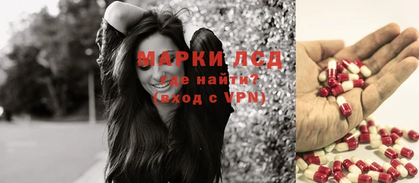 эйфоретик Бородино