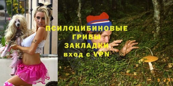 стафф Бронницы