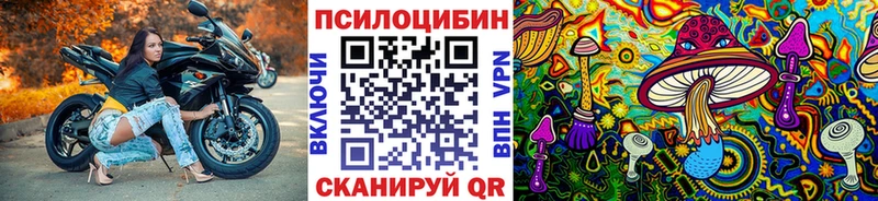 Купить закладки  Новочеркасск  Галлюциногенные грибы Magic Shrooms 